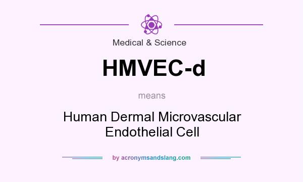 What does HMVEC-d mean? It stands for Human Dermal Microvascular Endothelial Cell