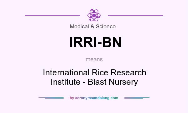 What does IRRI-BN mean? It stands for International Rice Research Institute - Blast Nursery