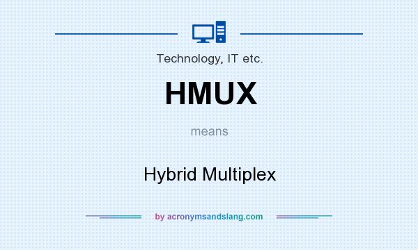 What does HMUX mean? It stands for Hybrid Multiplex
