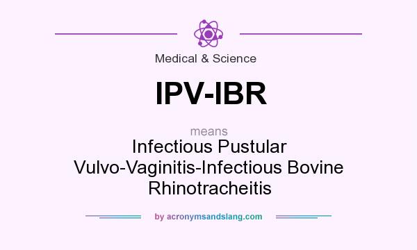 What does IPV-IBR mean? It stands for Infectious Pustular Vulvo-Vaginitis-Infectious Bovine Rhinotracheitis