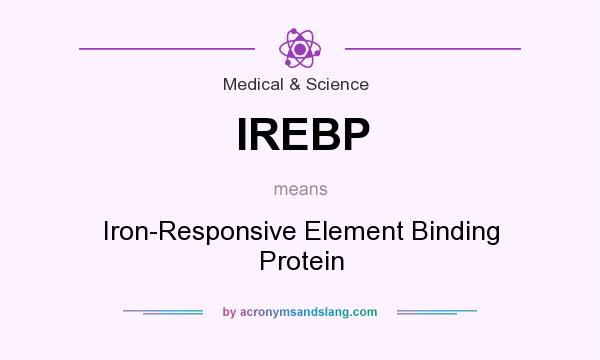 What does IREBP mean? It stands for Iron-Responsive Element Binding Protein