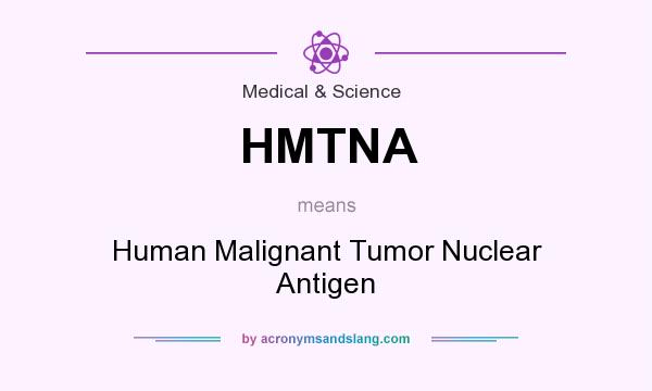 What does HMTNA mean? It stands for Human Malignant Tumor Nuclear Antigen