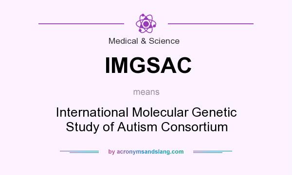 What does IMGSAC mean? It stands for International Molecular Genetic Study of Autism Consortium
