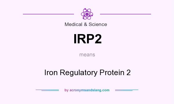 What does IRP2 mean? It stands for Iron Regulatory Protein 2