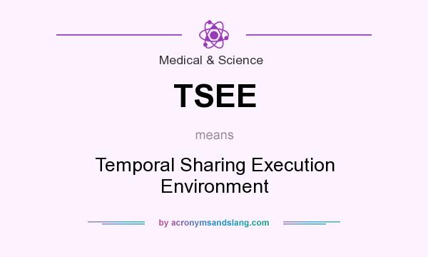 What does TSEE mean? It stands for Temporal Sharing Execution Environment