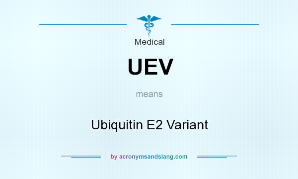 What does UEV mean? It stands for Ubiquitin E2 Variant