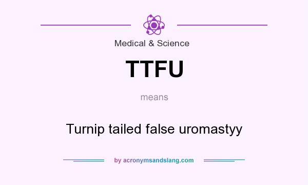 What does TTFU mean? It stands for Turnip tailed false uromastyy