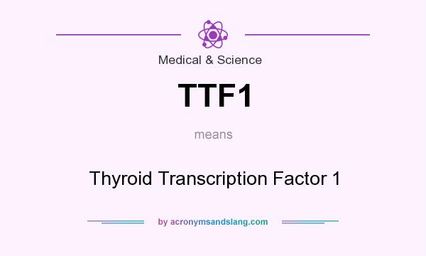 What does TTF1 mean? It stands for Thyroid Transcription Factor 1