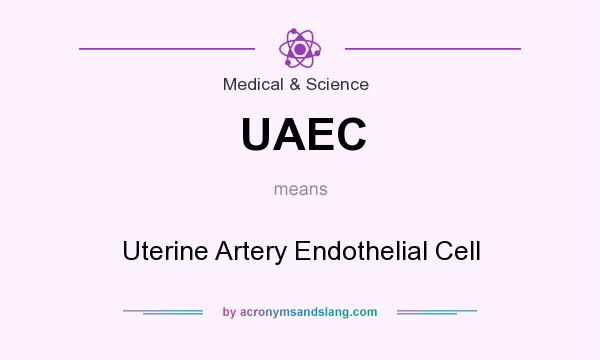What does UAEC mean? It stands for Uterine Artery Endothelial Cell