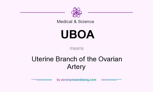 What does UBOA mean? It stands for Uterine Branch of the Ovarian Artery