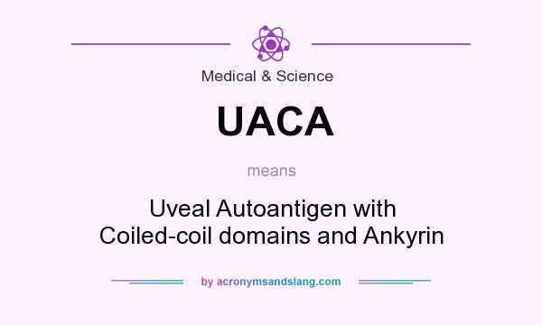 What does UACA mean? It stands for Uveal Autoantigen with Coiled-coil domains and Ankyrin