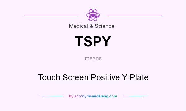What does TSPY mean? It stands for Touch Screen Positive Y-Plate