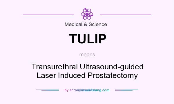 What does TULIP mean? It stands for Transurethral Ultrasound-guided Laser Induced Prostatectomy