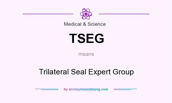 What does TSEG mean? It stands for Trilateral Seal Expert Group
