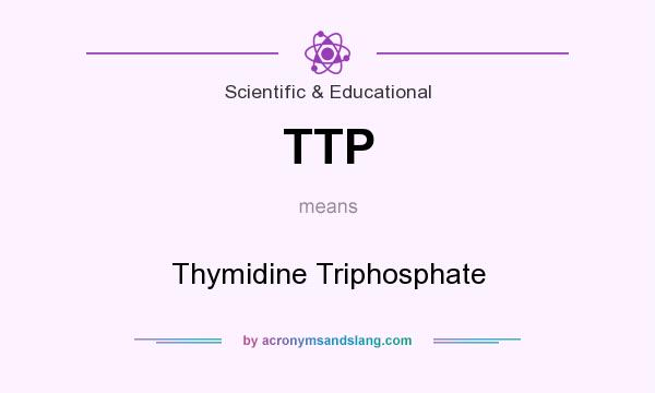 What does TTP mean? It stands for Thymidine Triphosphate