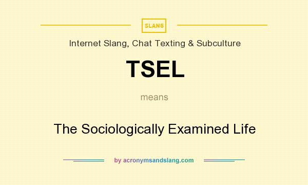 What does TSEL mean? It stands for The Sociologically Examined Life