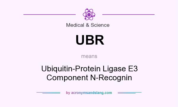 What does UBR mean? It stands for Ubiquitin-Protein Ligase E3 Component N-Recognin