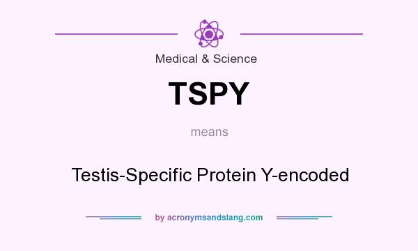 What does TSPY mean? It stands for Testis-Specific Protein Y-encoded