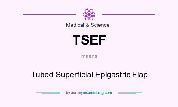 What does TSEF mean? It stands for Tubed Superficial Epigastric Flap