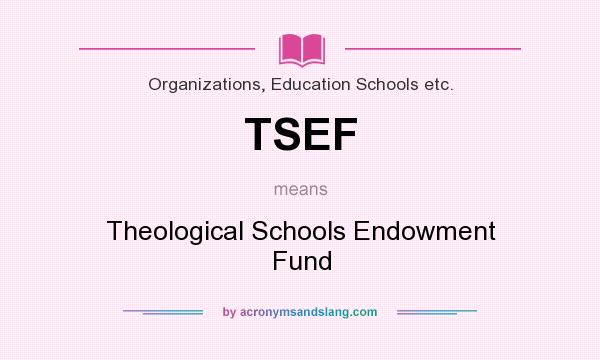 What does TSEF mean? It stands for Theological Schools Endowment Fund