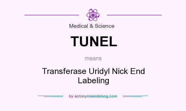 What does TUNEL mean? It stands for Transferase Uridyl Nick End Labeling