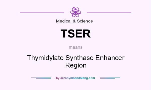 What does TSER mean? It stands for Thymidylate Synthase Enhancer Region