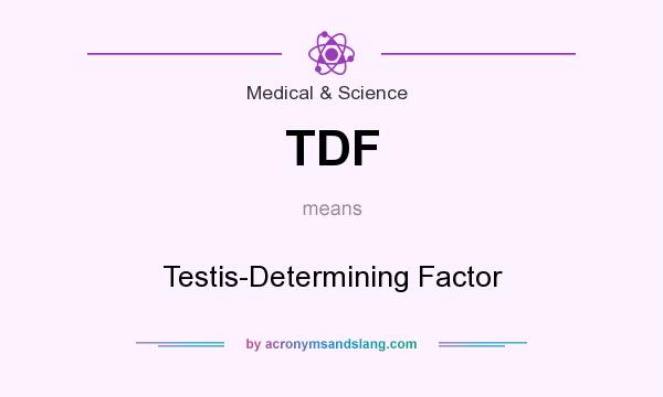 What does TDF mean? It stands for Testis-Determining Factor