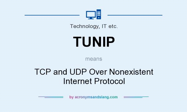 What does TUNIP mean? It stands for TCP and UDP Over Nonexistent Internet Protocol