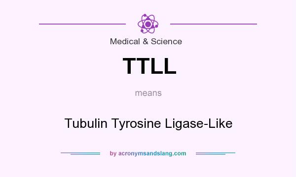 What does TTLL mean? It stands for Tubulin Tyrosine Ligase-Like