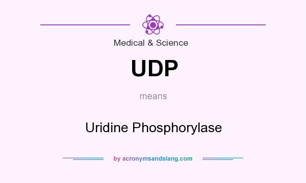 What does UDP mean? It stands for Uridine Phosphorylase