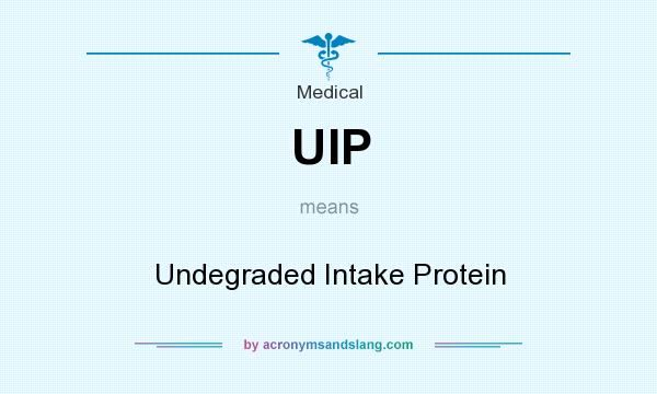 What does UIP mean? It stands for Undegraded Intake Protein