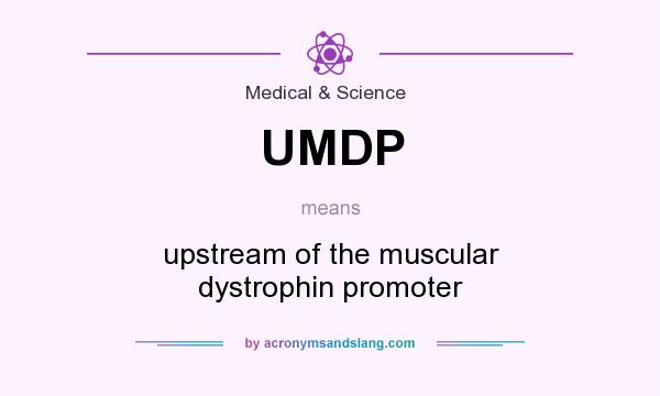 What does UMDP mean? It stands for upstream of the muscular dystrophin promoter