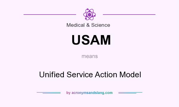 What does USAM mean? It stands for Unified Service Action Model