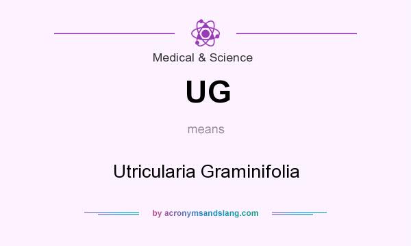 What does UG mean? It stands for Utricularia Graminifolia