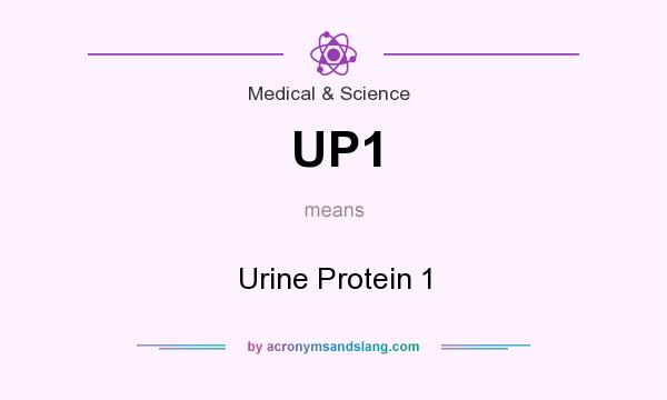 What does UP1 mean? It stands for Urine Protein 1