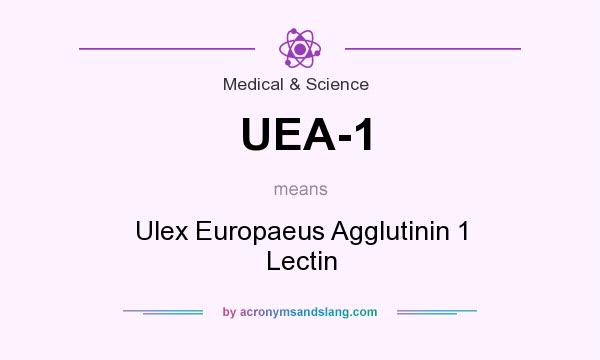 What does UEA-1 mean? It stands for Ulex Europaeus Agglutinin 1 Lectin