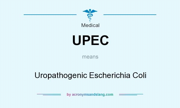 What does UPEC mean? It stands for Uropathogenic Escherichia Coli
