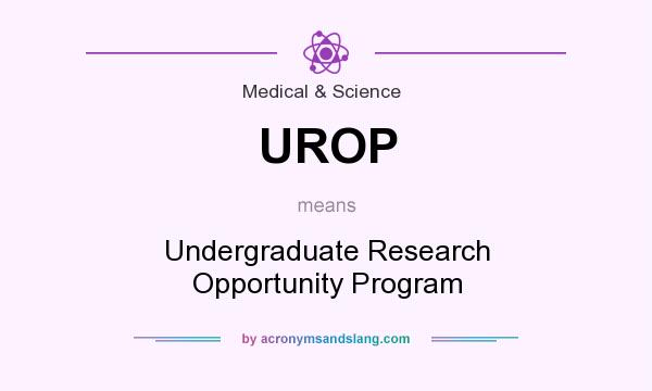 What does UROP mean? It stands for Undergraduate Research Opportunity Program