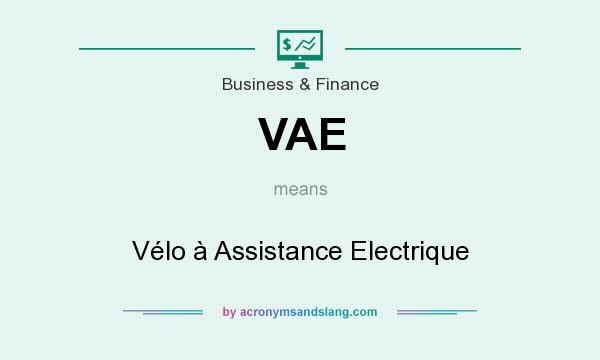 What does VAE mean? It stands for Vélo à Assistance Electrique