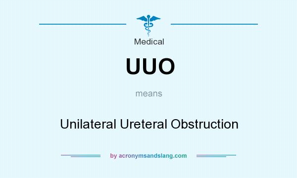 What does UUO mean? It stands for Unilateral Ureteral Obstruction