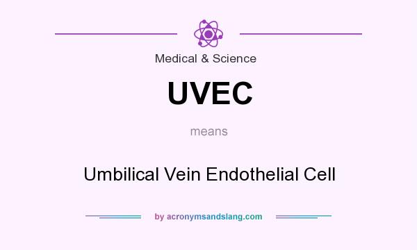 What does UVEC mean? It stands for Umbilical Vein Endothelial Cell