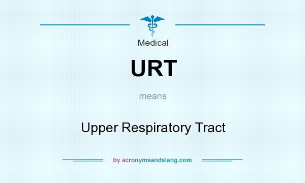 What does URT mean? It stands for Upper Respiratory Tract