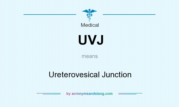 What does UVJ mean? It stands for Ureterovesical Junction