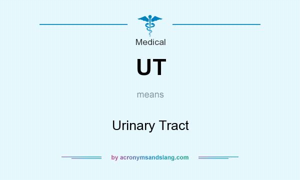 What does UT mean? It stands for Urinary Tract