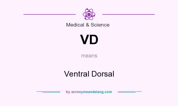 What does VD mean? It stands for Ventral Dorsal
