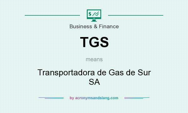 What does TGS mean? It stands for Transportadora de Gas de Sur SA