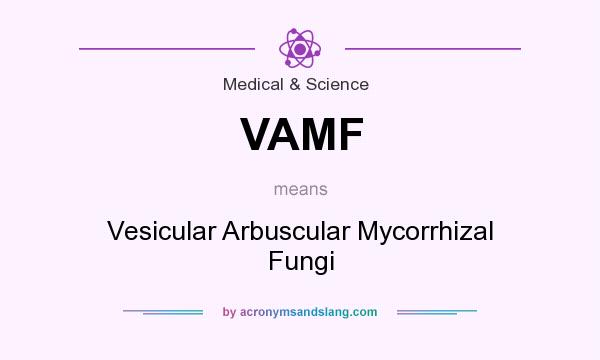 What does VAMF mean? It stands for Vesicular Arbuscular Mycorrhizal Fungi