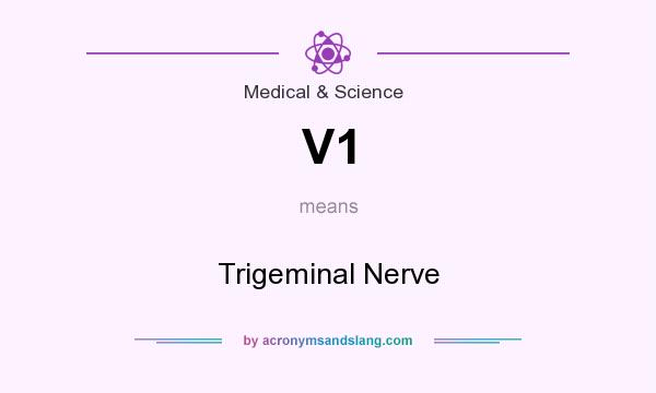 What does V1 mean? It stands for Trigeminal Nerve