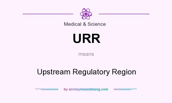 What does URR mean? It stands for Upstream Regulatory Region