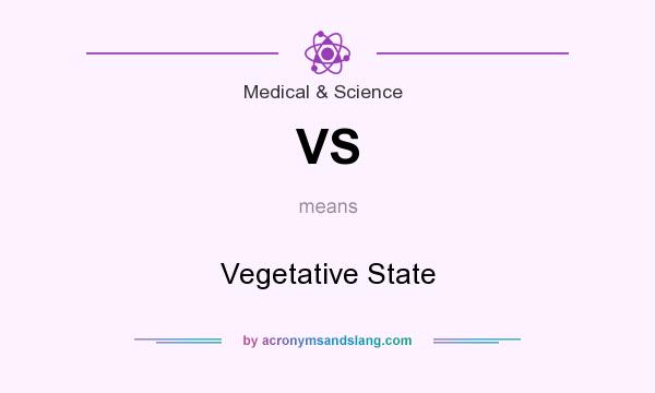 What does VS mean? It stands for Vegetative State